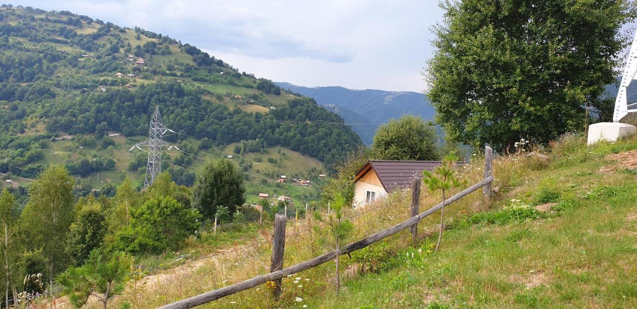 Pensiunea Petru Şugag Extérieur photo