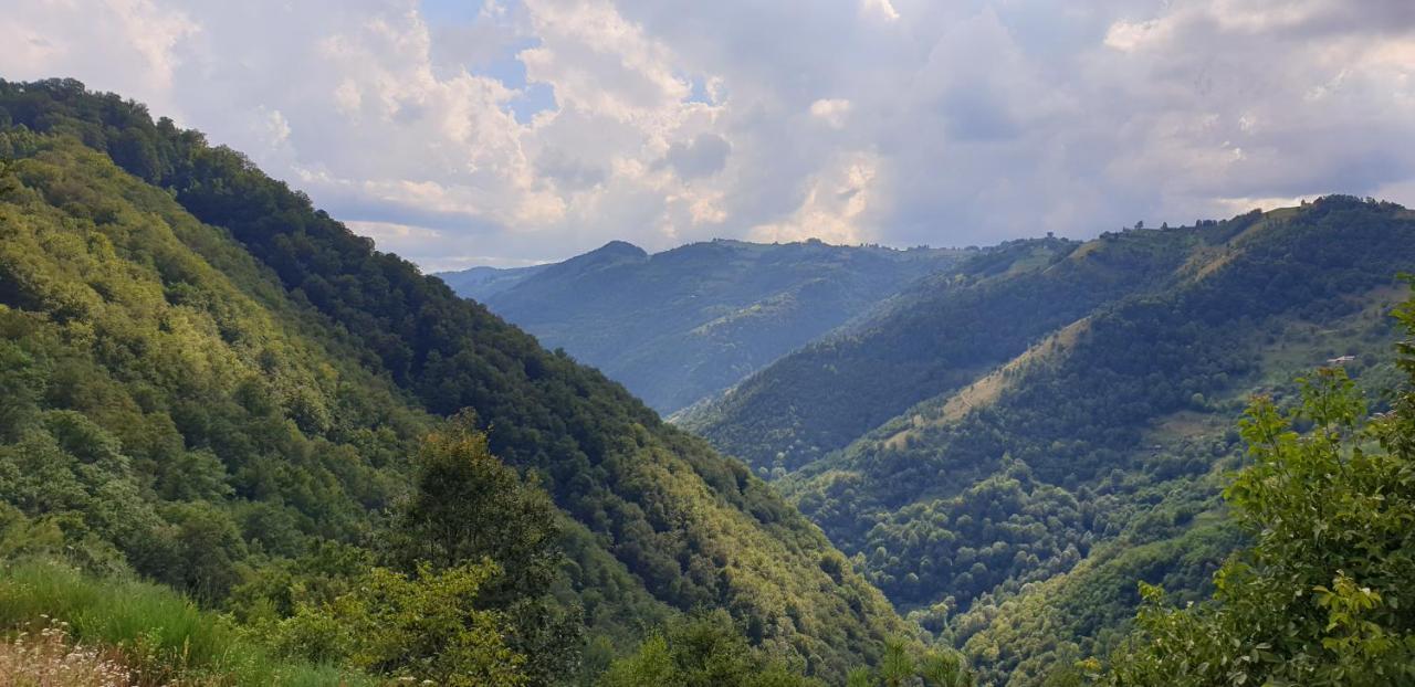 Pensiunea Petru Şugag Extérieur photo