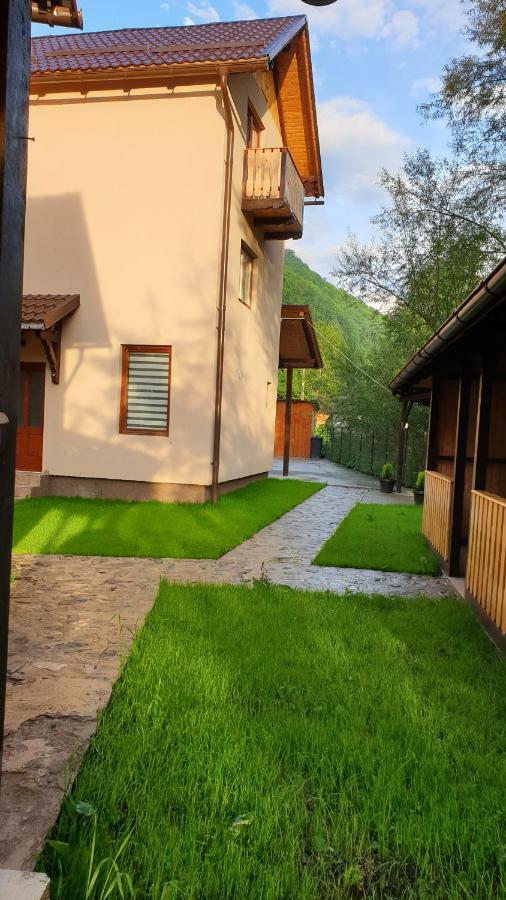 Pensiunea Petru Şugag Extérieur photo