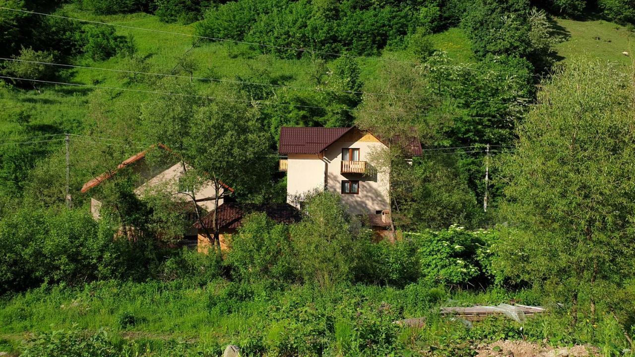 Pensiunea Petru Şugag Extérieur photo
